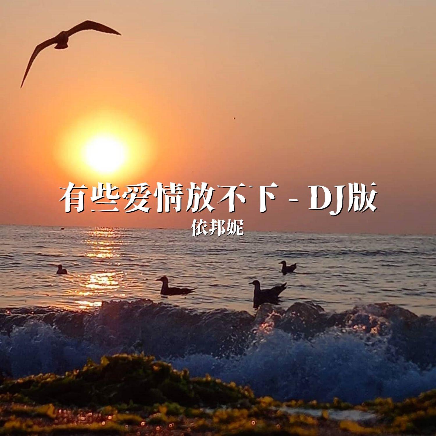 有些爱情放不下 (DJ版)封面