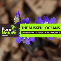 The Blissful Oceans - Therapeutic Sounds of Nature, Vol.6