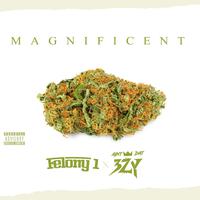 MAGNIFICENT (feat. AintDat3zy)