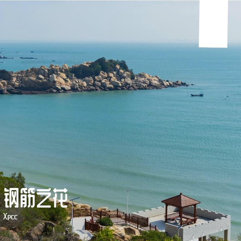 倔强的骨头封面