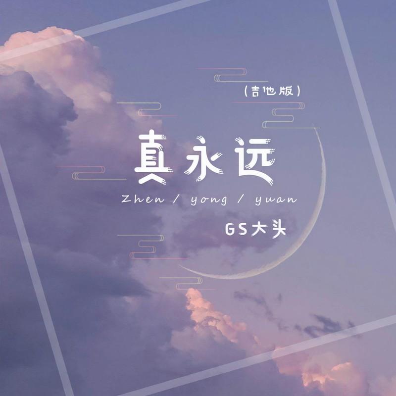 真永远 (吉他版)封面