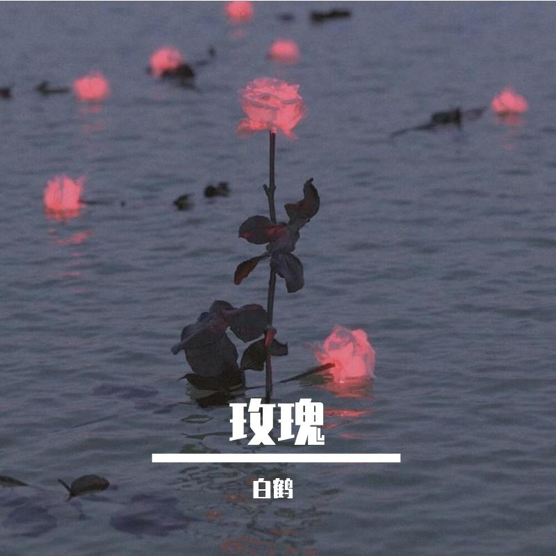 玫瑰（亚森版）封面