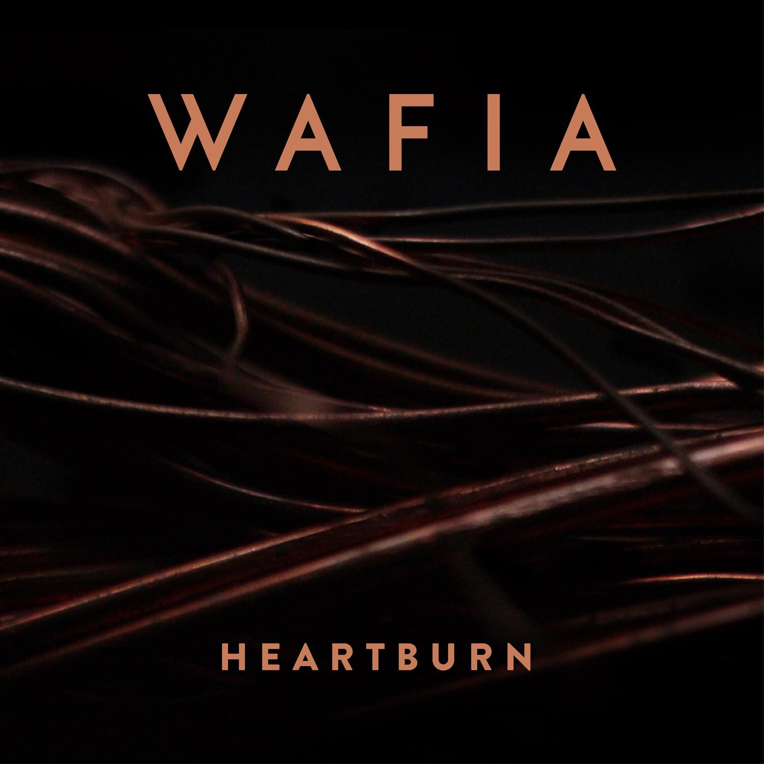 Heartburn (Felix Cartal Remix)