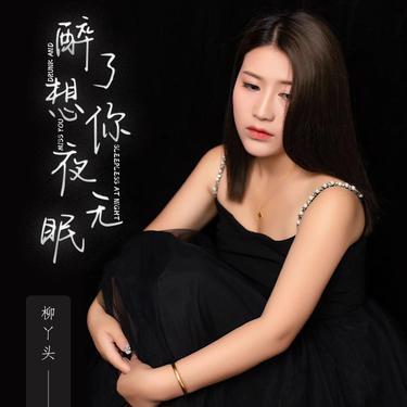 醉了想你夜无眠封面