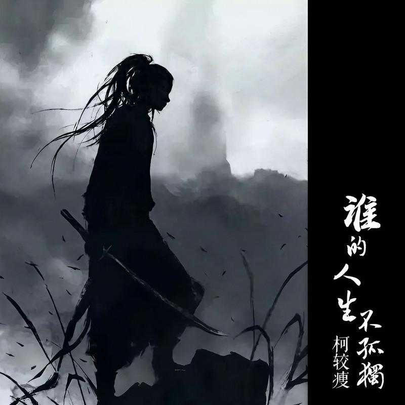 谁的人生不孤独 (Dj沈念)封面