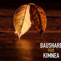 BauShare