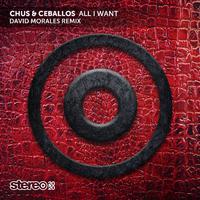All I Want (David Morales Remix)