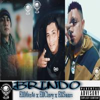 Brindo /H310 / 9 (feat. EllSaam, clav & Mente)