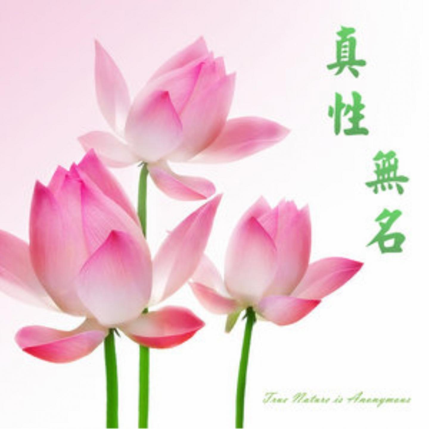 我从没离开过你 (伴奏)封面