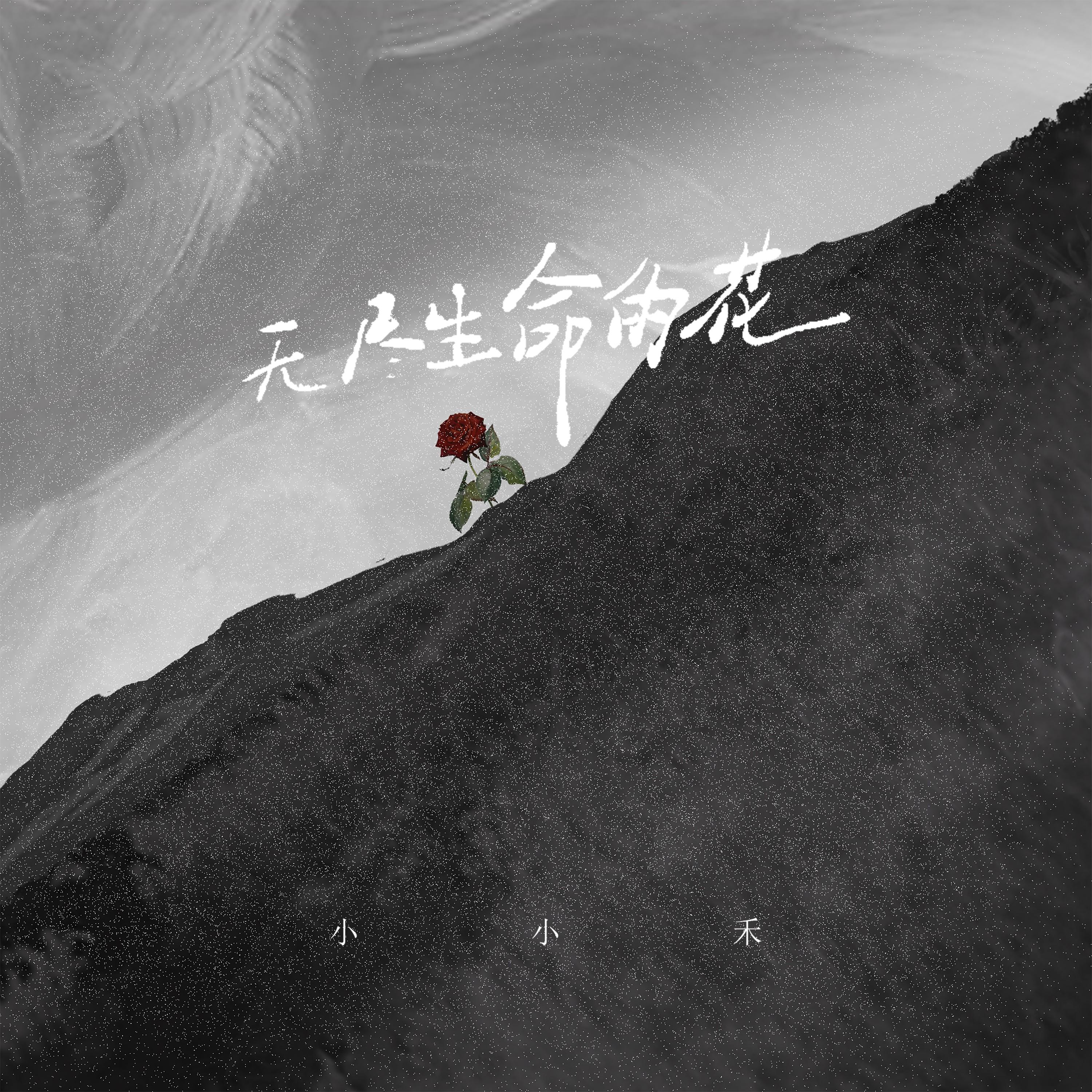 无尽生命的花 (伴奏)封面
