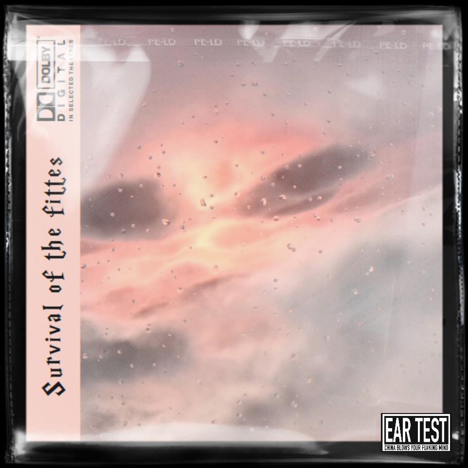 [FREE]"LIGHT"-TrapSoul×Emo Type Beat_Survival._LIGHT | 在线播放_[FREE]"LIGHT"-TrapSoul×Emo Type Beat歌词_[FREE]"LIGHT"-TrapSoul×Emo Type Beat下载 | 网易云音乐