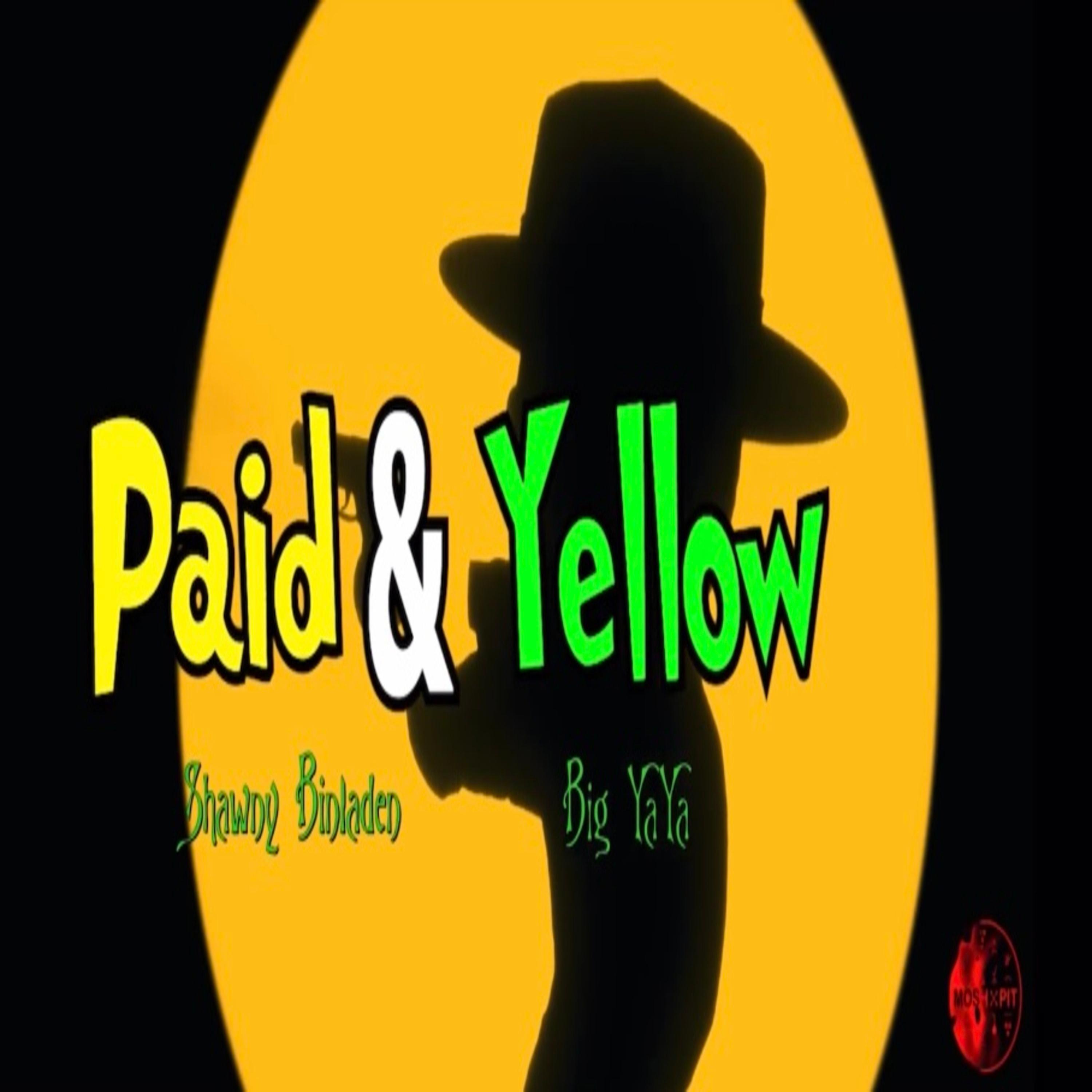 Paid N Yellow (feat. Shawny Binladen & Big YAYA)