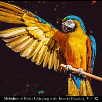 Melodies of Birds Chirping with Insects Buzzing, Vol. 02