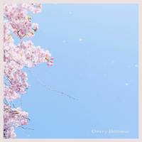 Cherry Blossoms