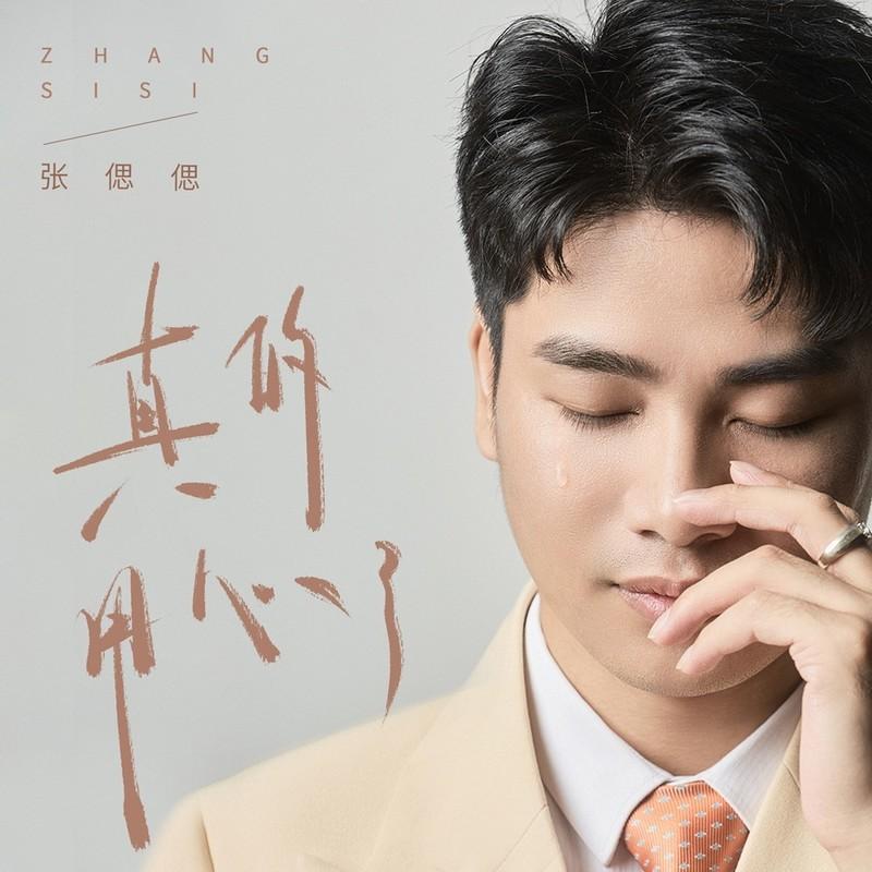 真的用了心 (DJ九零版)封面