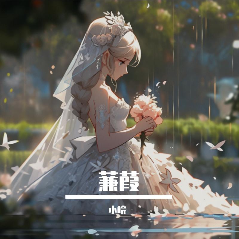 蒹葭封面