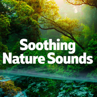 Soothing Nature Sounds