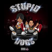 Stupid Dogs