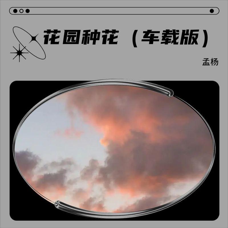 花园种花 (车载版)封面