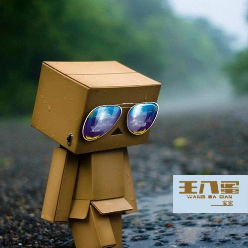 王八蛋封面