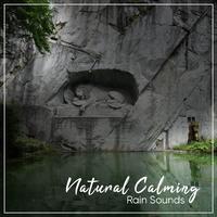 18 Sleep Sounds of Nature: Calm Shore & Ambient Rain