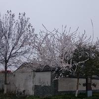記住粥资料,記住粥最新歌曲,記住粥MV视频,記住粥音乐专辑,記住粥好听的歌