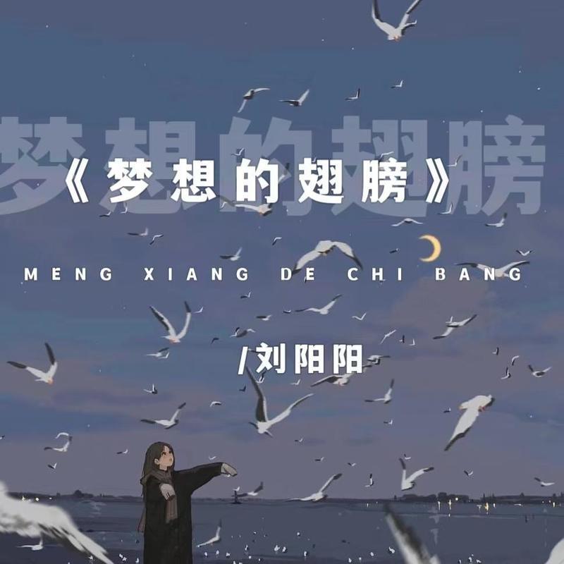 梦想的翅膀 (伴奏)封面