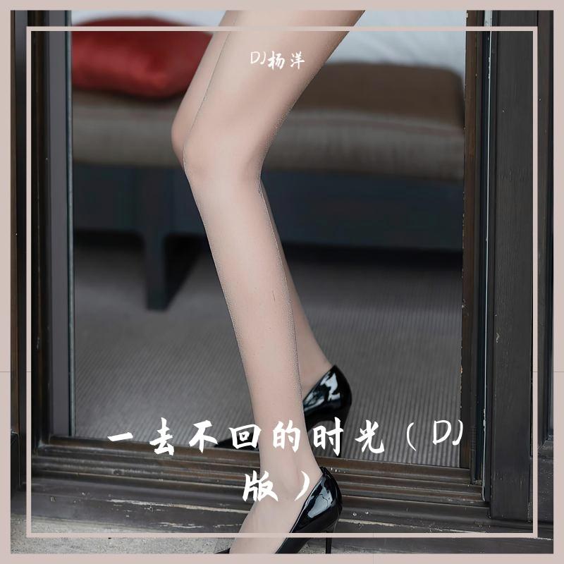 一去不回的时光（DJ版） - DJ杨洋、贾绪超、DJ何友、林逸宸、只做你的宇航员、郭敏伟封面