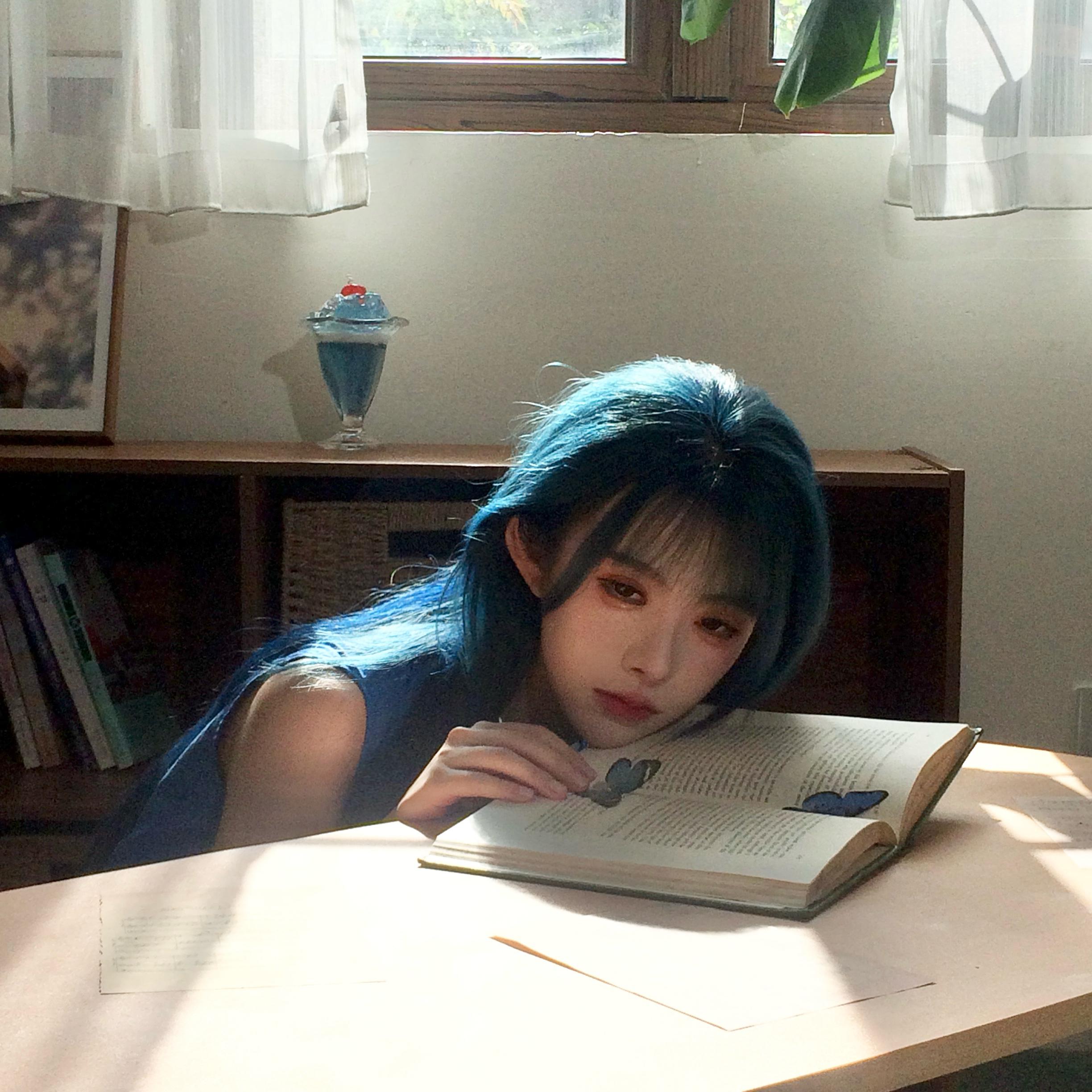 花蝴蝶封面