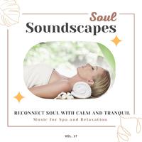 Soul Soundscapes, V17 - Reconnect Soul With Calm And Tranquil Music For Spa And Relaxation