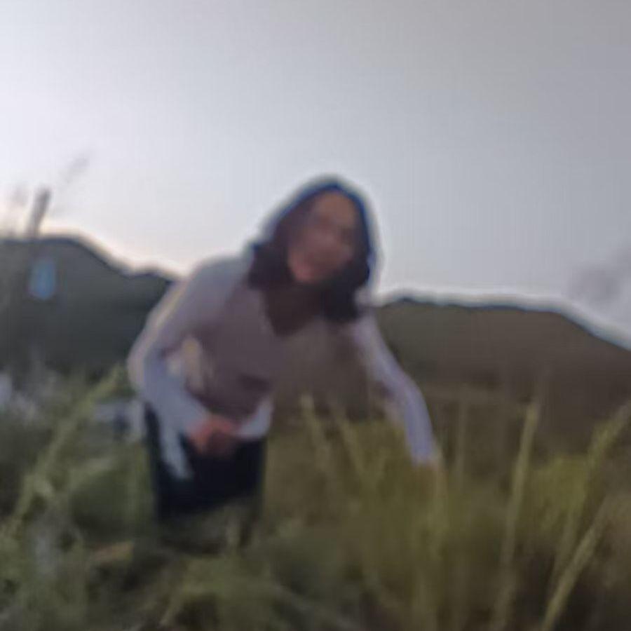 未命名2封面