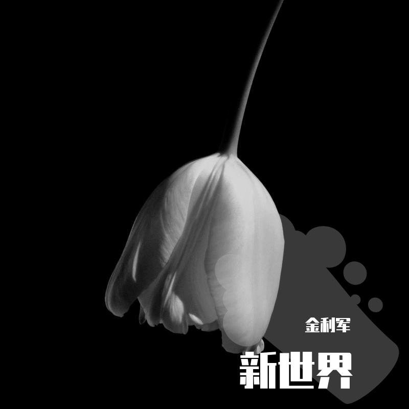 青春没有终点封面