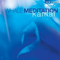 Whale Meditation