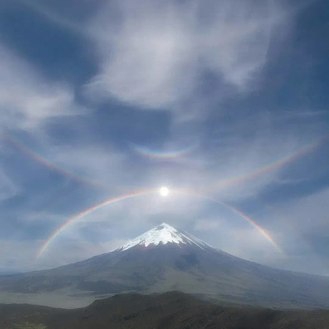 总有一天你会出现在我身边