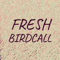 Fresh Birdcall