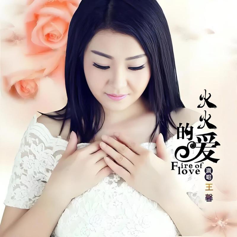 火火的爱 (DJ版)封面