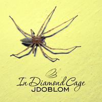 In Diamond Cage