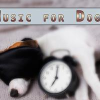 Pure Dog Music