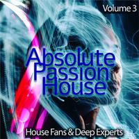 Absolute Passion House, Vol. 3 (House Fans & Deep Experts)