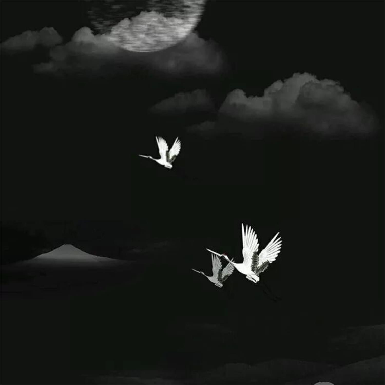 别怕我伤心(抖音完整版)