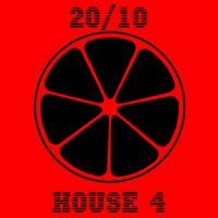 20/10 House, Vol. 4