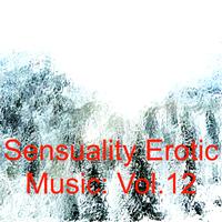 Sensuality Erotic Music: Vol.12