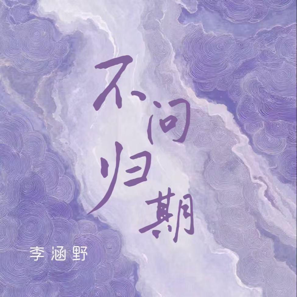 不问归期 (DJ版)封面