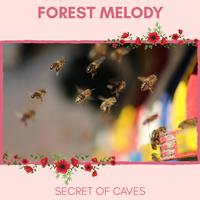 Forest Melody - Secret of Caves