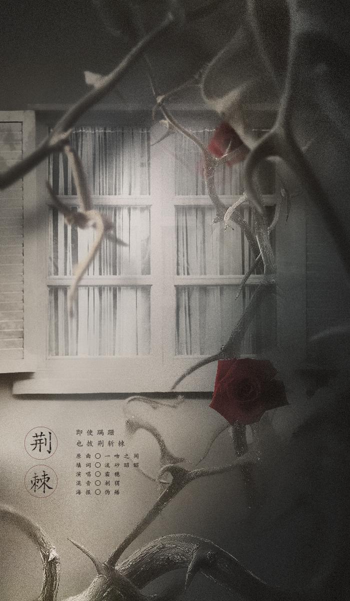 荆棘 - 记Twentine《那个不为人知的故事》