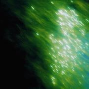 夏 核 美 学 | 坠入绿意氤氲的梦境歌单