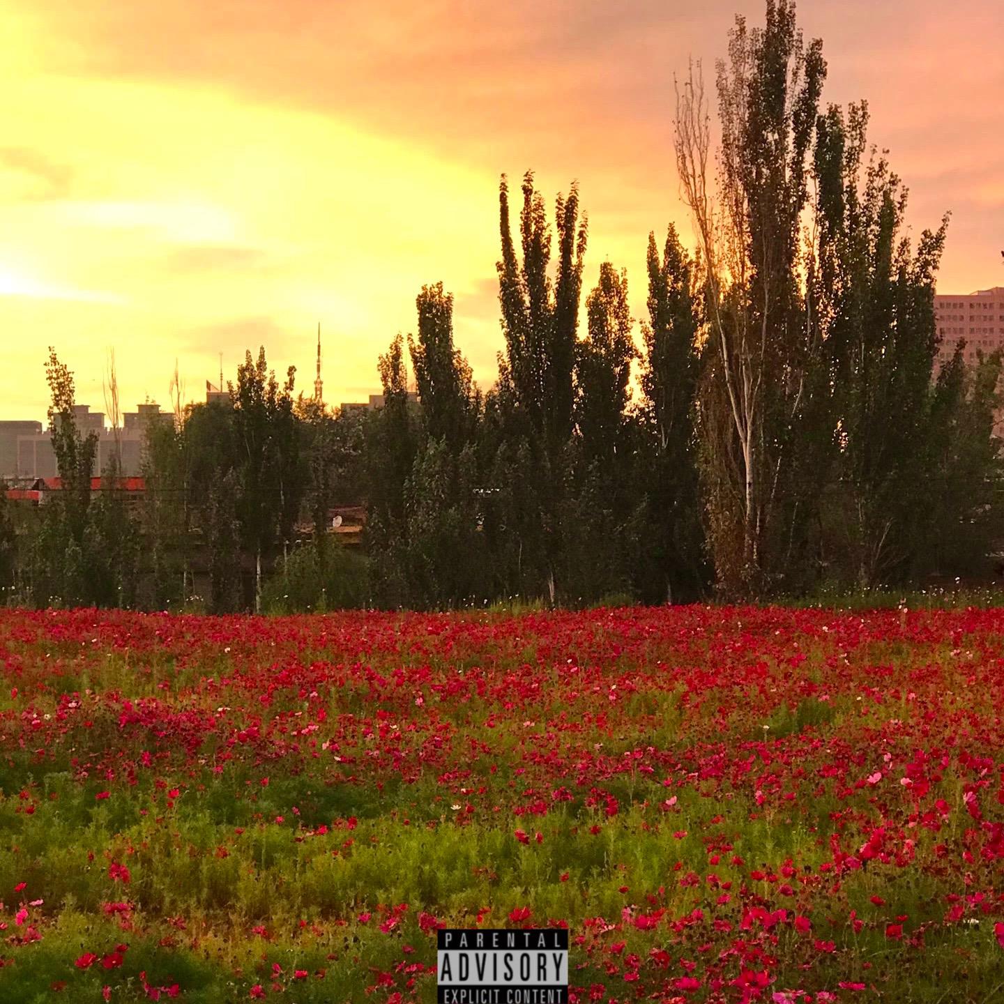 藏宝图 - ForGet_50$封面