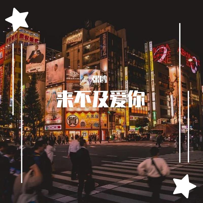 来不及爱你封面