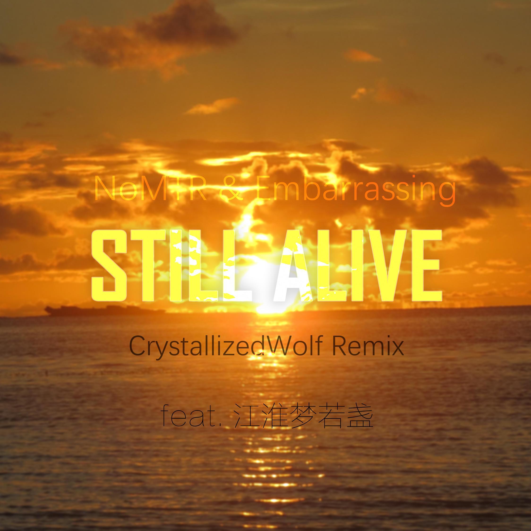 NoMTR-Still Alive（CrystallizedWolf Remix）封面