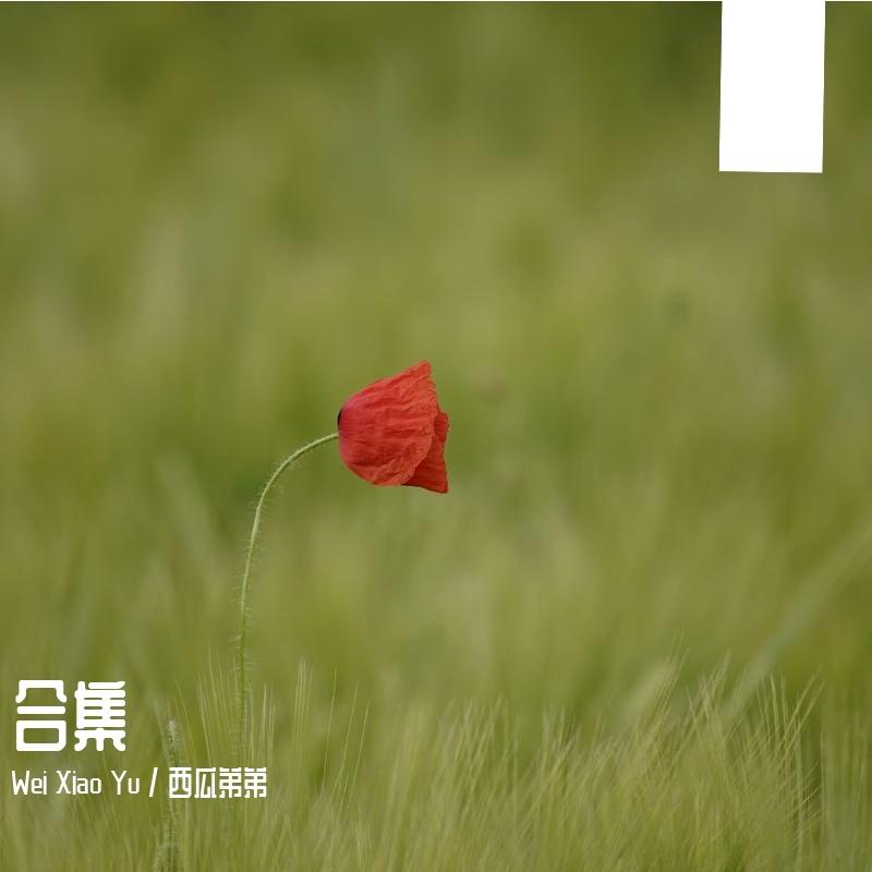 心上没有心封面